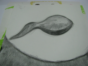 Image 47