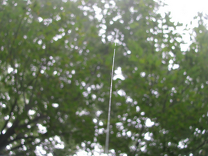 Image 85